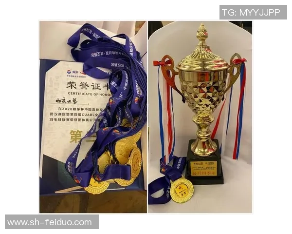 深圳羽毛球队与西安羽毛球队赛后复盘分析力量对比与战术探讨