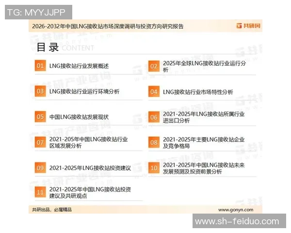 独家深度解析：LNG行业中个人能力的多维度对比与评估