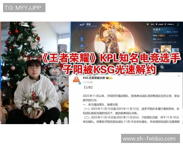 王者荣耀深度解析：LNG选手个人能力的独特魅力与战术价值